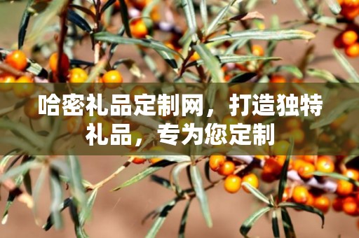 哈密礼品定制网，打造独特礼品，专为您定制