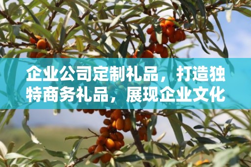 企业公司定制礼品，打造独特商务礼品，展现企业文化与品牌魅力